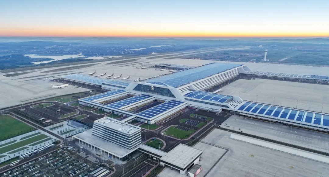 2026中国粮食行业：早已不是“种出来、收上来、卖出去”的老模样(图1)